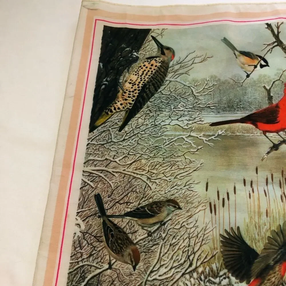 Vintage 1979 national wildlife federation bird scarf 12”x42” cardinal ducks art